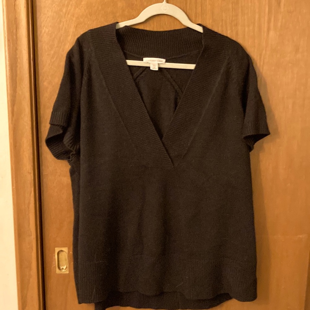 Coldwater Creek raglan cap sleeve tunic sweater 2x